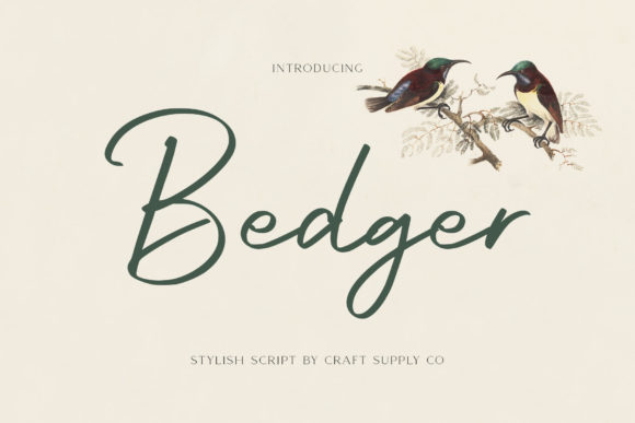 Bedger: A Sweet Handwritten Font for Web Design