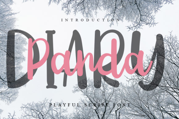 Diary Panda: A Playful Handwritten Font for Business