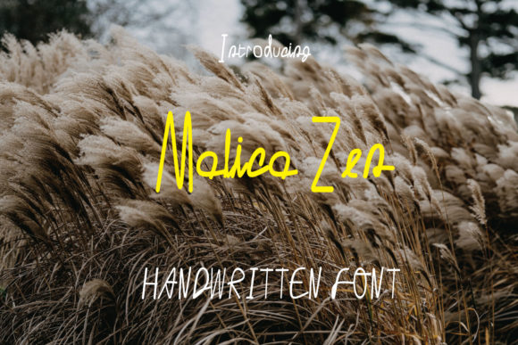 Malica Zen: A Sweet Handwritten Font for Campaigns